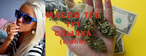 гидра Надым