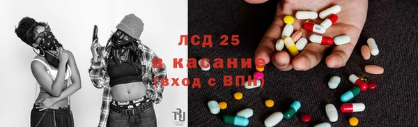 гидра Надым
