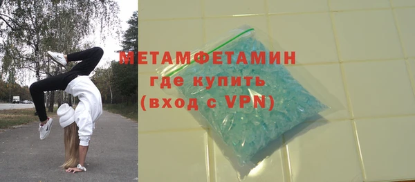 прущие грибы Наволоки