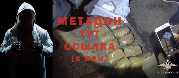 прущие грибы Наволоки