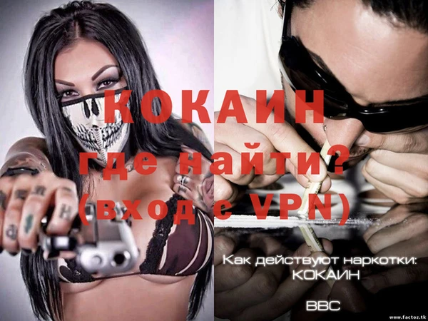 гидра Надым