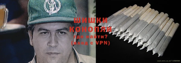 гидра Надым
