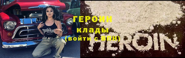 гидра Надым