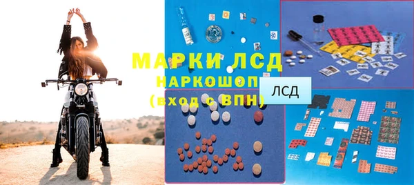 гидра Надым