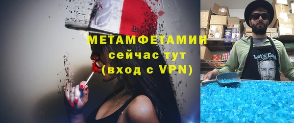 гидра Надым