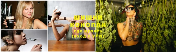 прущие грибы Наволоки