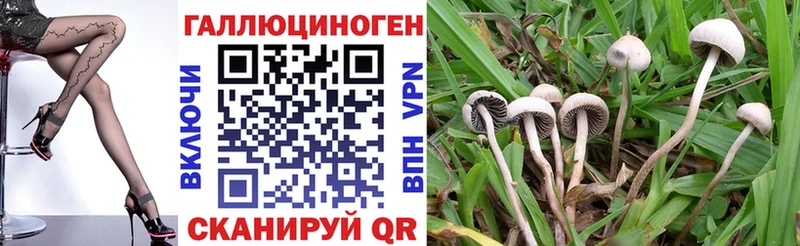 Галлюциногенные грибы прущие грибы  Тотьма 
