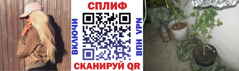 блэк спрут онион  Тотьма  МАРИХУАНА план 